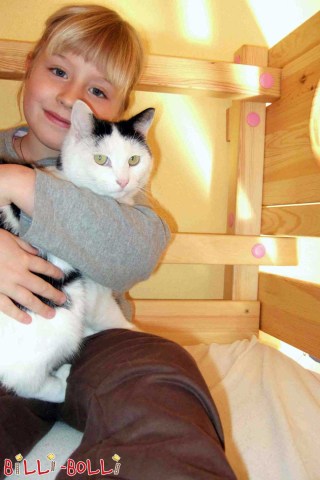 Hochbett&nbsp;mitwachsend: Bild 1-17