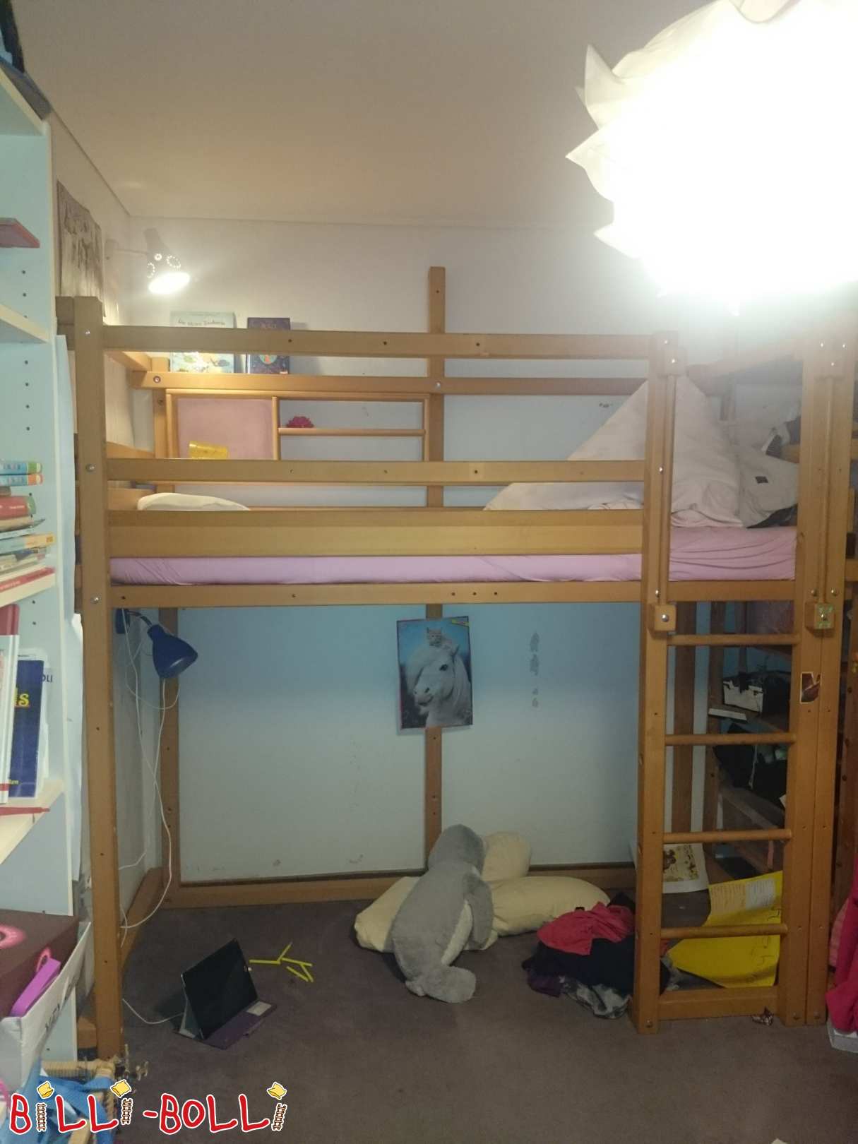 Buche Hochbett+Bücherregal abgebaut abholbereit in 53773 Hennef (Sieg) (Kategorie: Hochbett mitwachsend gebraucht)